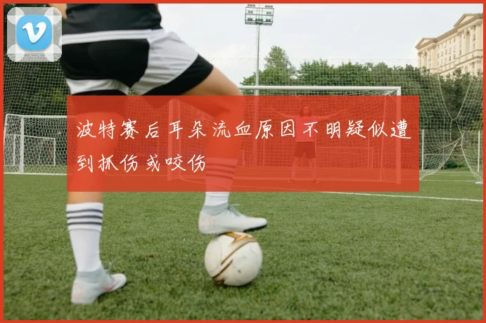 波特赛后耳朵流血原因不明疑似遭到抓伤或咬伤